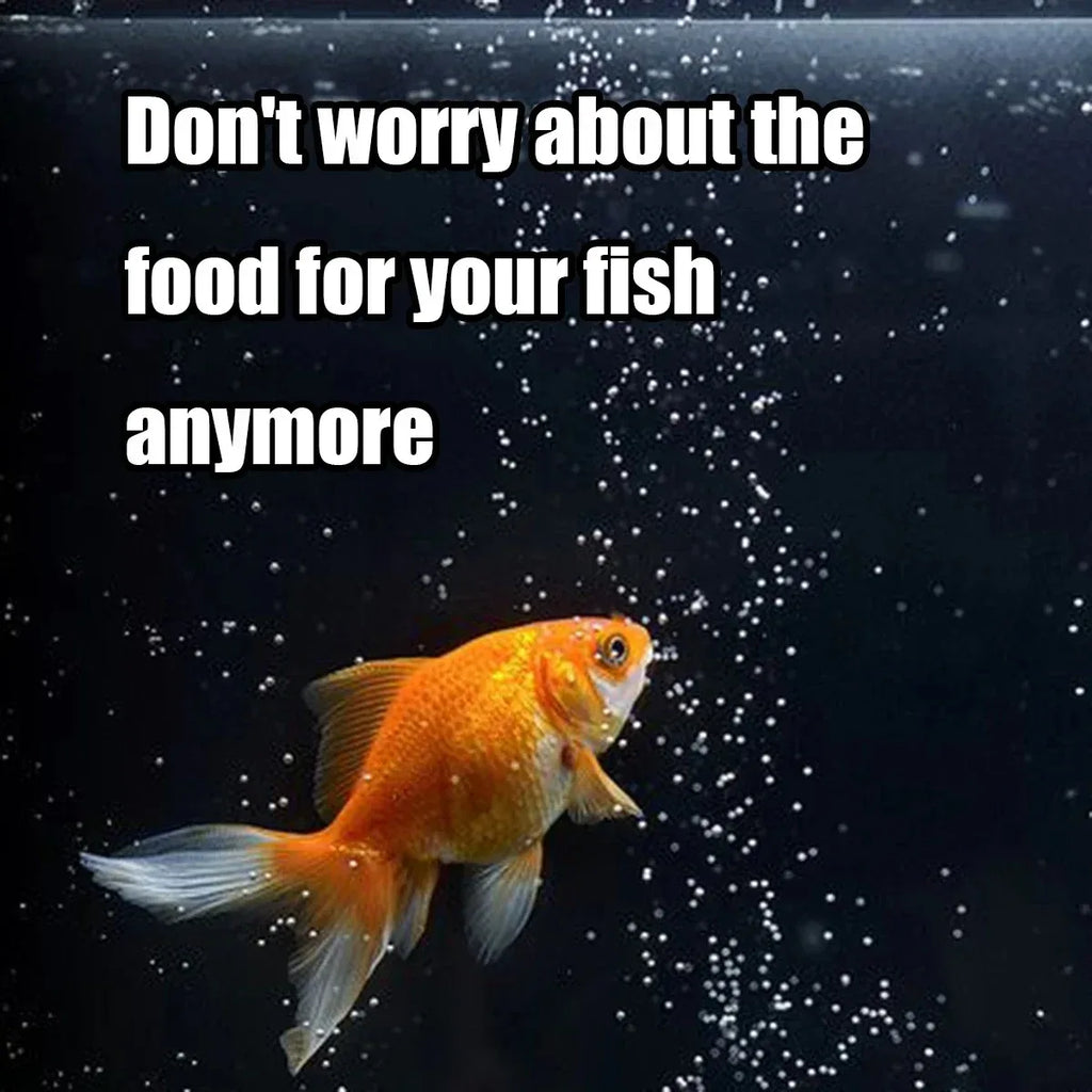 Automatic Aquarium Fish Feeder - 100 mL
